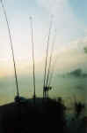 canne in pesca