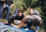 80 kg 2003