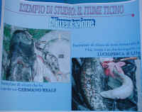 STUDIO SCIENTIFICO, ANZI MOLTO SCIENTIFICO