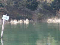 DIVIETO DI PESCA