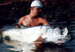 tarpon 1 paul