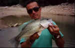 Black Bass a Mequinenza