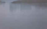 boa in fase di pesca