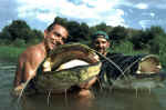 226 + 220 cm Segre