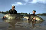 220 + 226 cm Segre