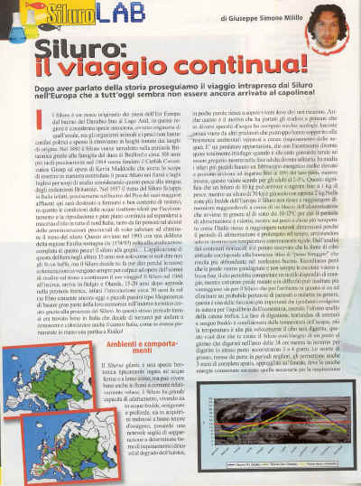 tuttocarpa7.jpg (236096 byte)