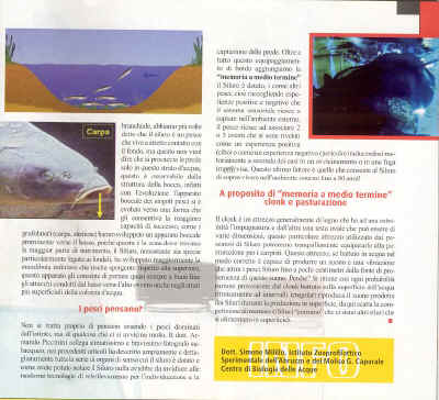 tuttocarpa8.jpg (146468 byte)
