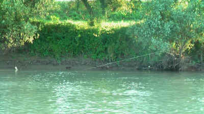 2009825144430_rete203.jpg (83797 byte)