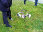 2007114114855_26112006630.jpg (93648 byte)