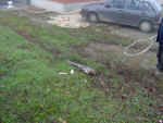 200711411567_14.jpg (95353 byte)