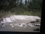 2007691896_AAAA0224.jpg (69357 byte)
