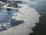 2007824222128_t4.jpg (24095 byte)