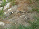 DSCN0029.jpg (134576 byte)