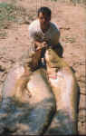 Miguel con tres magnificos ejemplares pescados a lanzado 