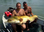 4 giugno 2009 yellow decolarato.jpg (135547 byte)