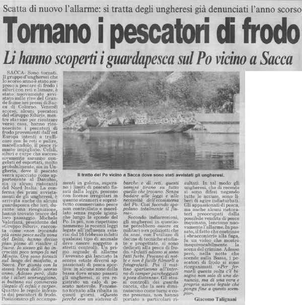 GazzettaParmaUnghi2006.jpg (141905 byte)