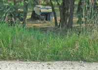 foto_2.JPG (661045 byte)
