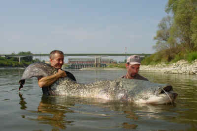 Yuri Grisendi 103 kg 242 cm Agosto 2003