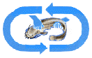 Catch & Release