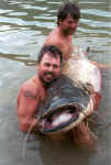 Alfred ed un amico con il 236 cm x 74 kg