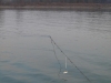 2010119134135_pc151989
