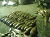 po-goro-2