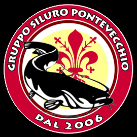 gruppo siluro pontevecchio