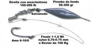 pesca a fondo gruppo siluro italia